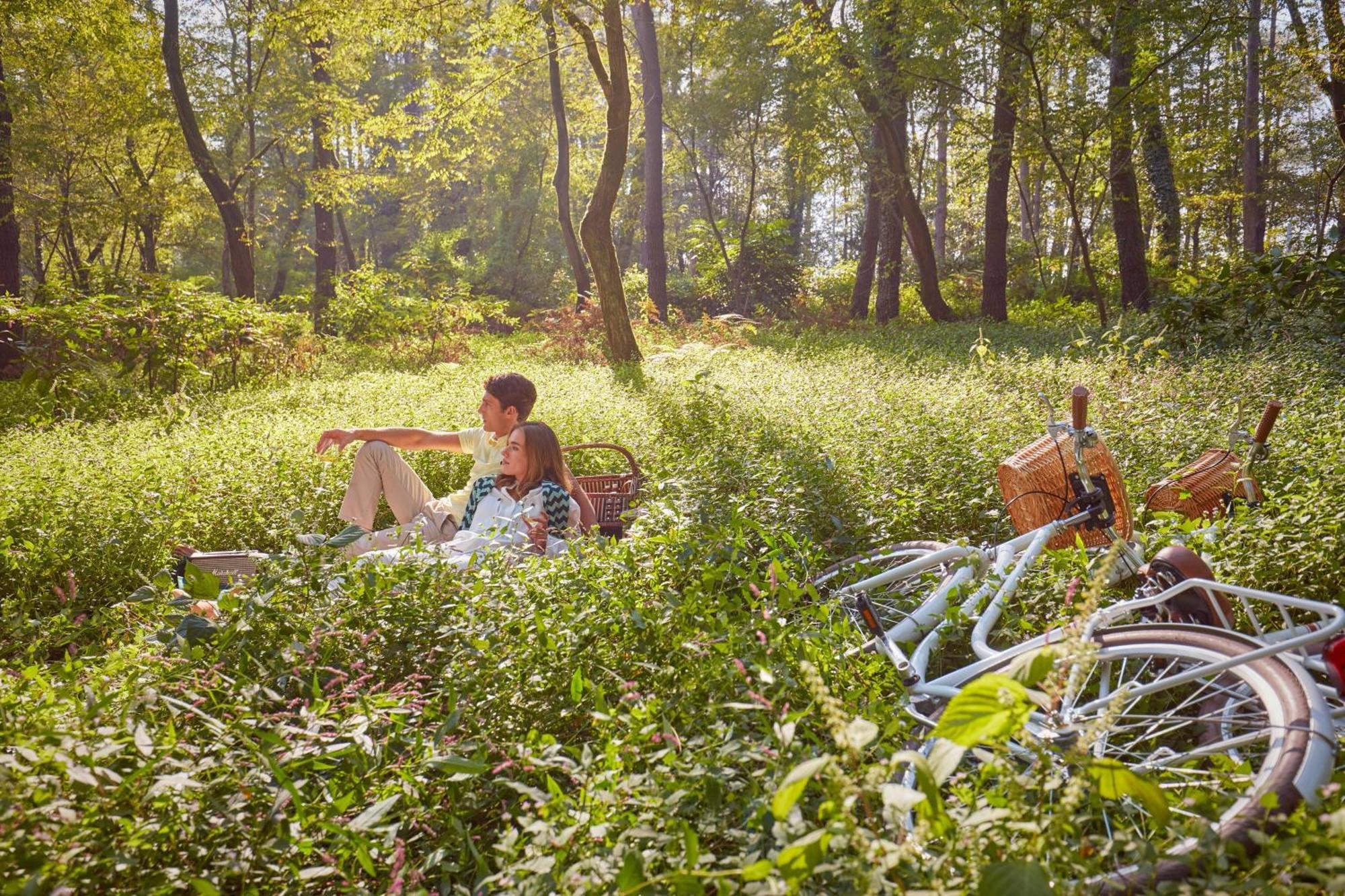 Paragraph Resort & Spa Shekvetili, Autograph Collection Exterior foto A picnic in the woods
