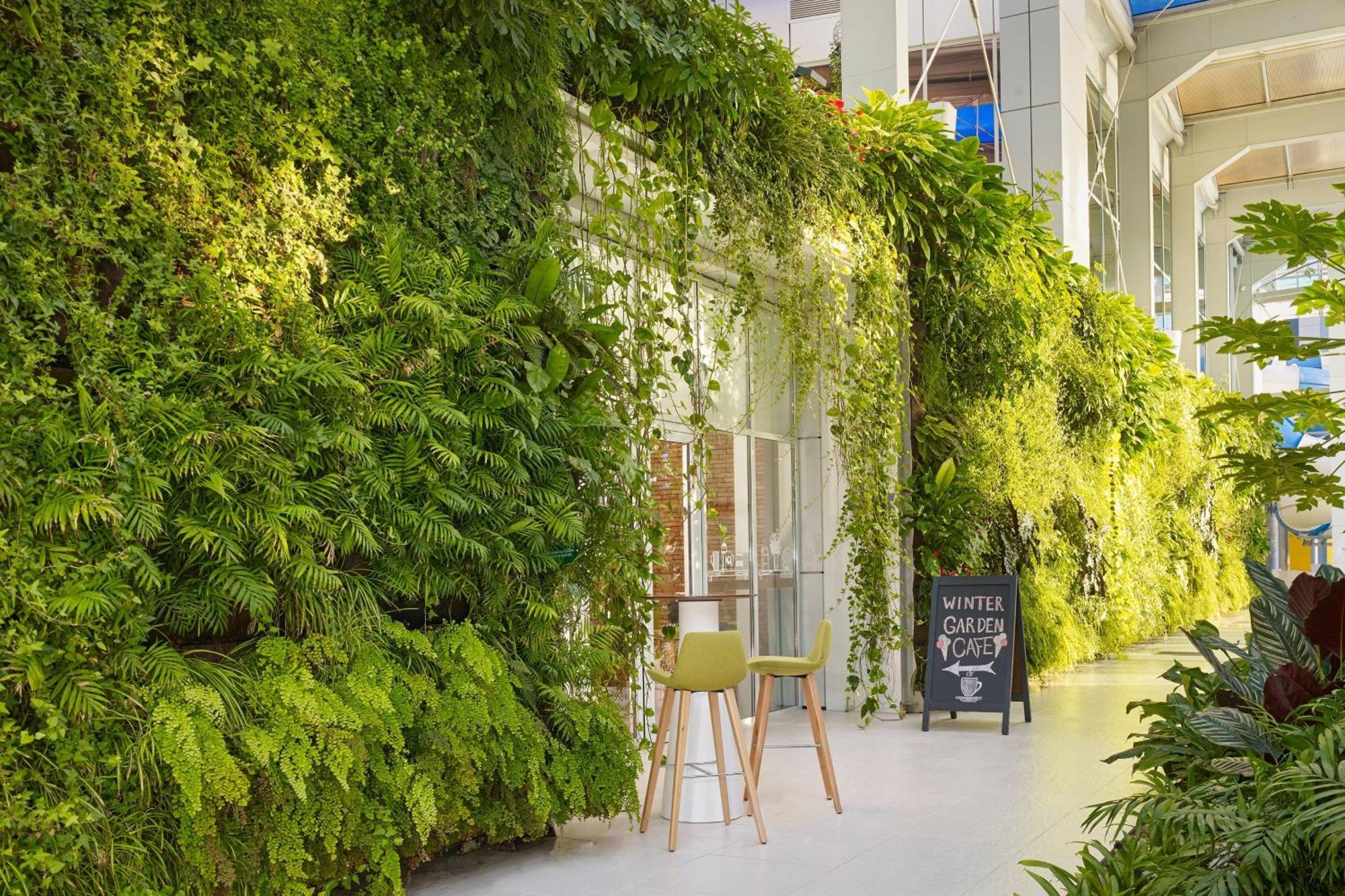 Paragraph Resort & Spa Shekvetili, Autograph Collection Exterior foto Living wall