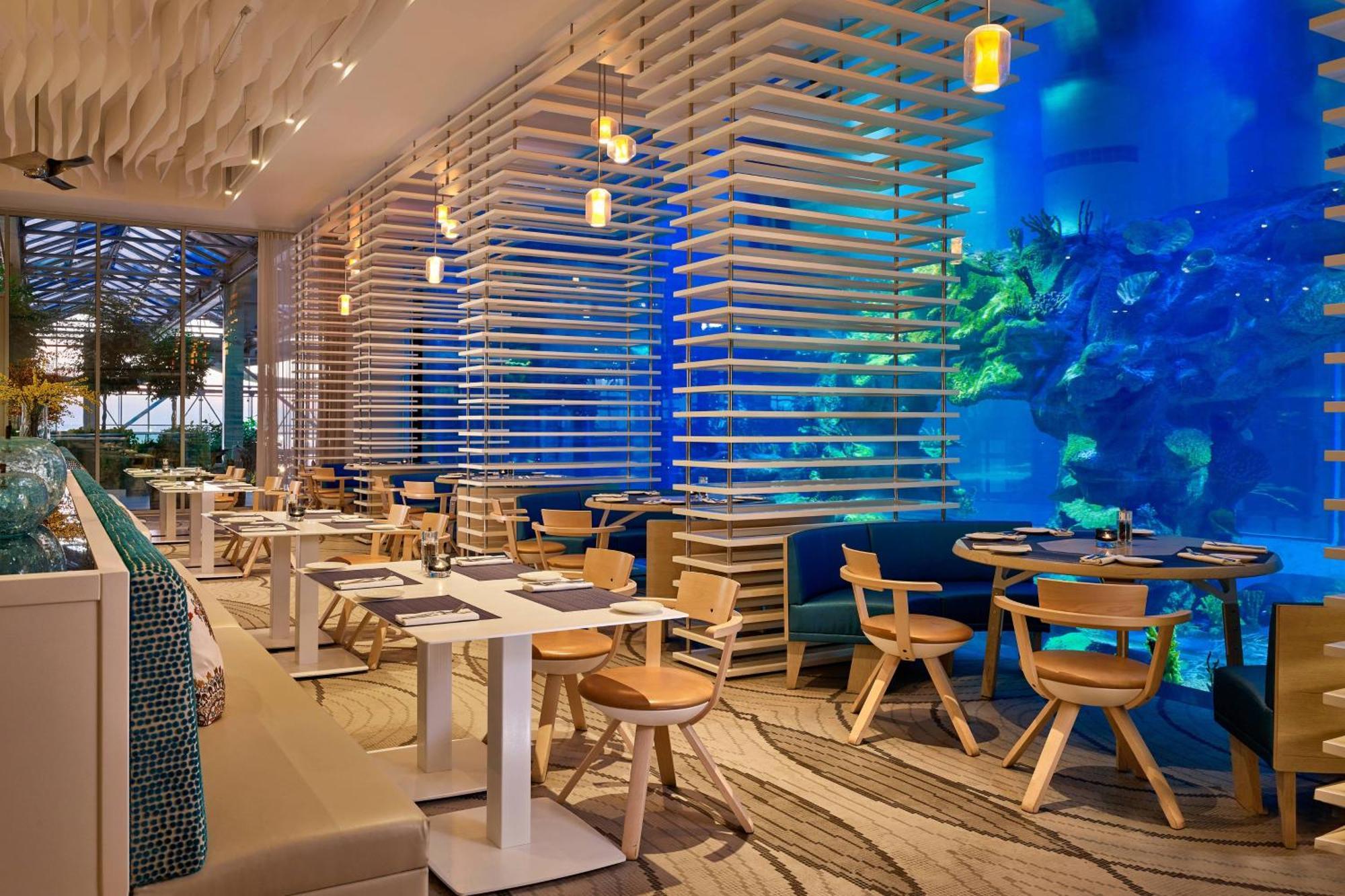 Paragraph Resort & Spa Shekvetili, Autograph Collection Exterior foto The Lost Chambers Aquarium